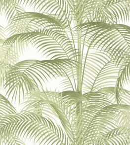 Delray Wallpaper by Thibaut Sage