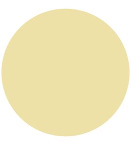 Desert Gold Active Emulsion Paint by Sanderson Desert Gold
