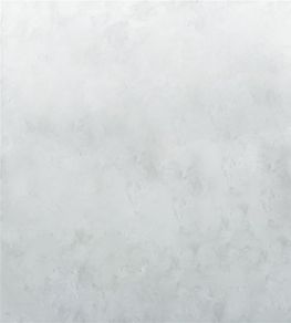 Tourangelle Ombre Mural by Designers Guild Zinc