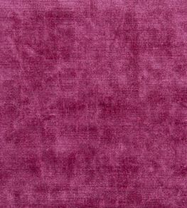 Glenville Fabric by Designers Guild Camellia