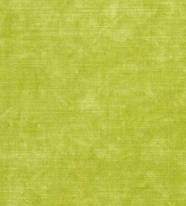 Glenville Fabric by Designers Guild Lime