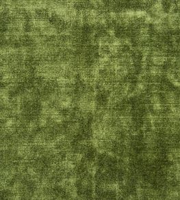 Glenville Fabric by Designers Guild Moss