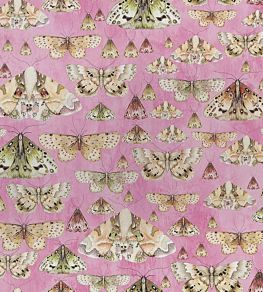 Issoria Wallpaper by Designers Guild Rose
