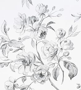 Watelet Wallpaper by Designers Guild Black & White