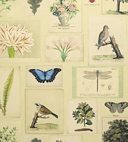 Flora And Fauna Wallpaper by Designers Guild Parchment
