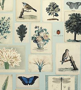 Flora And Fauna Wallpaper by Designers Guild Cloud Blue