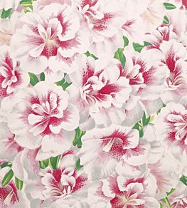 Variegated Azalea Wallpaper by Designers Guild Azalea