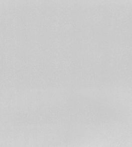 Tiber Fabric by Designers Guild Silver