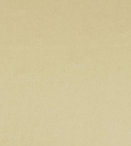 Tiber Fabric by Designers Guild Honey