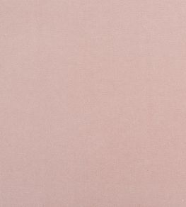 Varese Fabric by Designers Guild Cameo