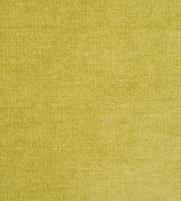 Zaragoza Fabric by Designers Guild Acacia