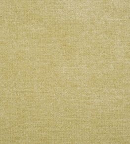 Zaragoza Fabric by Designers Guild Vanilla