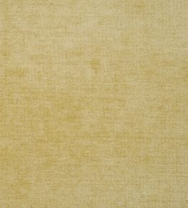 Zaragoza Fabric by Designers Guild Honey
