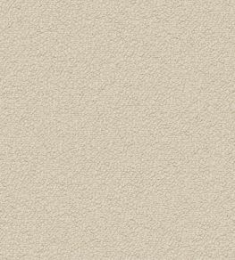 Dinton Fabric by Osborne & Little Canvas