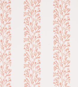 Dita Wallpaper by Jane Churchill Coral