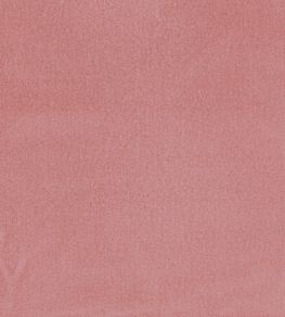 Dolce Vita Fabric by Casamance Blush