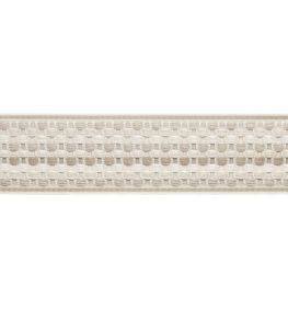 Dorset Ombre Border Trimming by Samuel & Sons Oyster