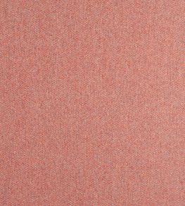 Dorset Fabric by Thibaut Adobe
