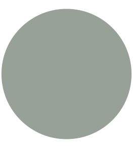 Duck Egg Blue Chalk Paint by Annie Sloan Duck Egg Blue