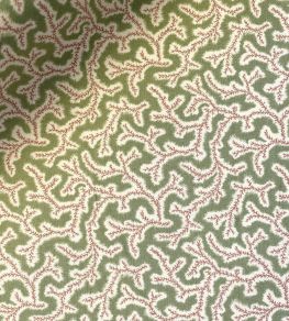 Dulcie Fabric by Ian Sanderson Briar Rose