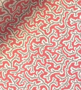 Dulcie Fabric by Ian Sanderson Coral