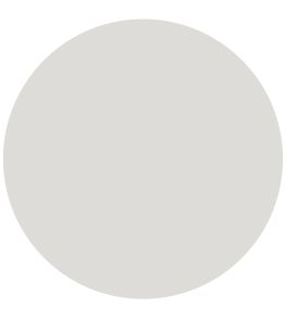 Dutch White 1829 Gloss Paint by Craig & Rose Dutch White
