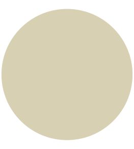 Eau de Nil 1829 Chalky Emulsion Paint by Craig & Rose Eau de Nil