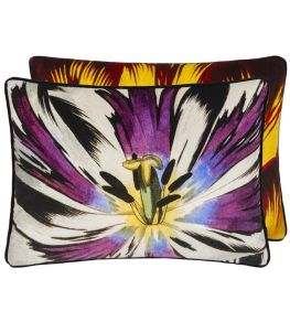 Eclosion Cushion 60 x 45cm by Christian Lacroix Agate