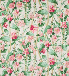 Elena Fabric by Manuel Canovas Peche