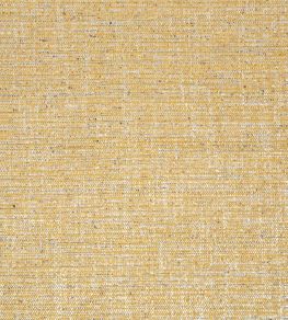 Elgin Fabric by Thibaut Dijon