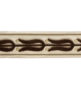 Emile Velvet Border Trimming by Samuel & Sons Laurel
