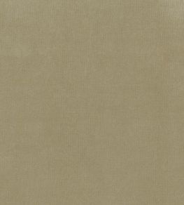 Encore Velvet Fabric by Osborne & Little 10