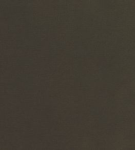 Encore Velvet Fabric by Osborne & Little 11