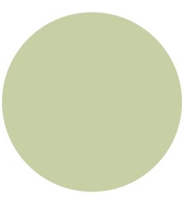 English Pear Active Emulsion Paint by Sanderson English Pear