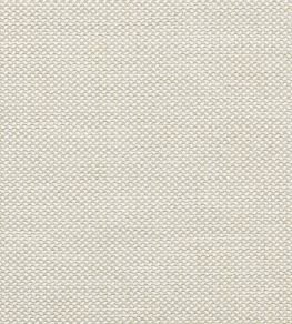 Erith Fabric by Colefax and Fowler Silver