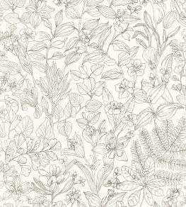 Esquisse Wallpaper by Casadeco Noir Gravure
