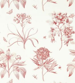 Etchings & Roses Wallpaper by Sanderson Amanpuri Red