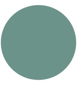 Eucalyptus Water-Based Eggshell Paint by Sanderson Eucalyptus