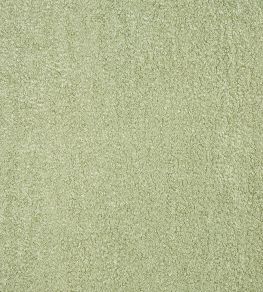 Fergus Fabric by Prestigious Textiles Basil
