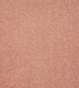 Fergus Fabric by Prestigious Textiles Petal