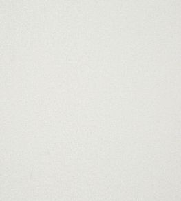 Fergus Fabric by Prestigious Textiles Snow