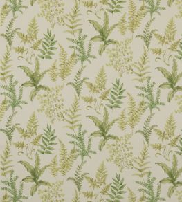 Ferndown Fabric by Baker Lifestyle Green