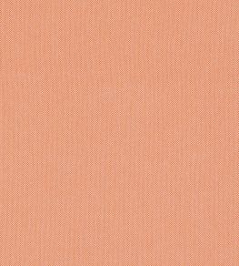 Finn Fabric by Thibaut Mandarin