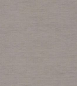 Five O'clock Plain Wallpaper by Casadeco Gris Pierre