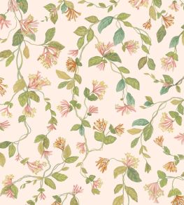 Flora Wallpaper by Cole & Son Tangerine & Olive on Blush