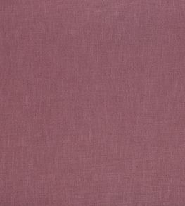 Florenzo Fabric by Ashley Wilde Rose