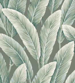 Foliage Wallpaper by Today Interiors Emerald