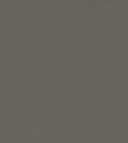 Forenza Fabric by Romo Loam