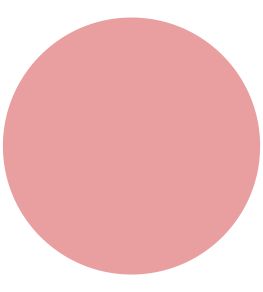 FTT-005 - French Rose Marble Matt Emulsion Paint by Mylands FTT-005 - French Rose