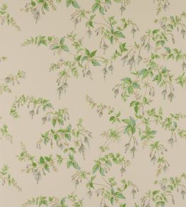 Fuchsia Wallpaper by Colefax and Fowler Grey/Green